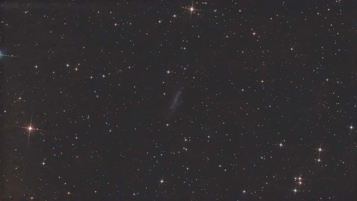 Ngc 4236