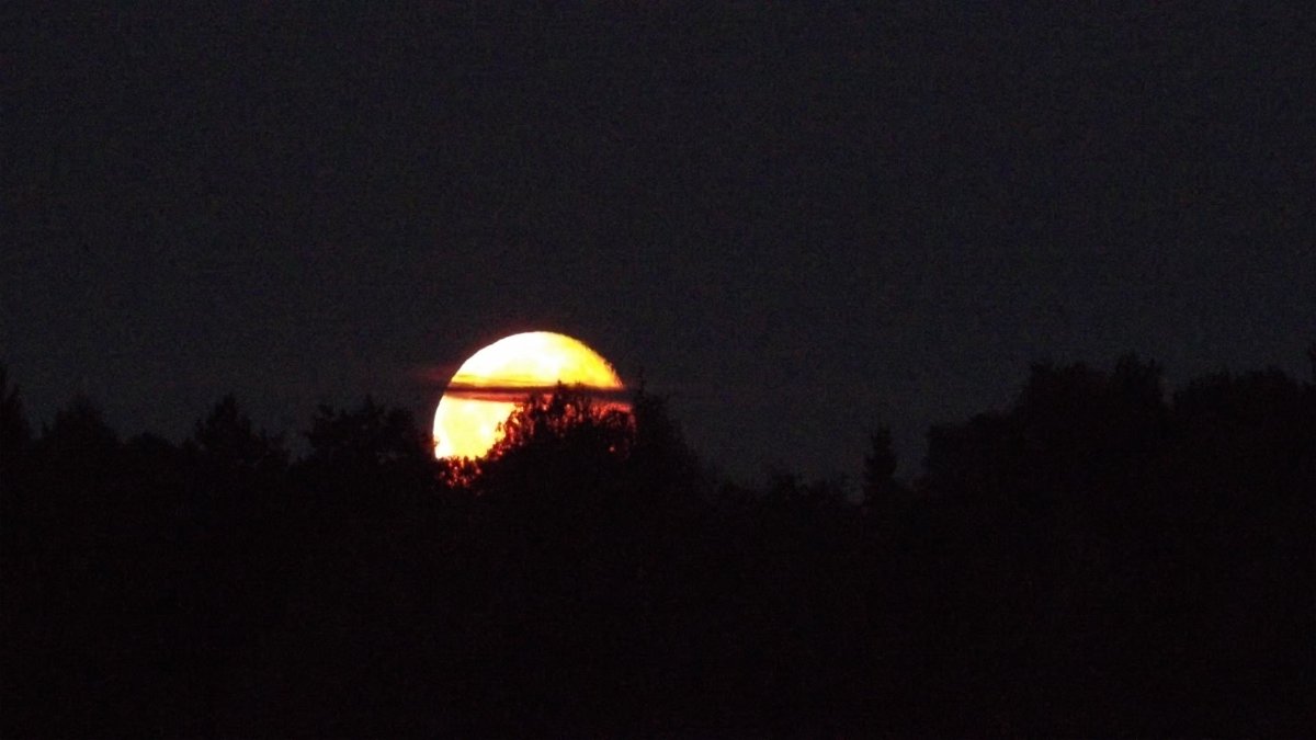 Moonrise