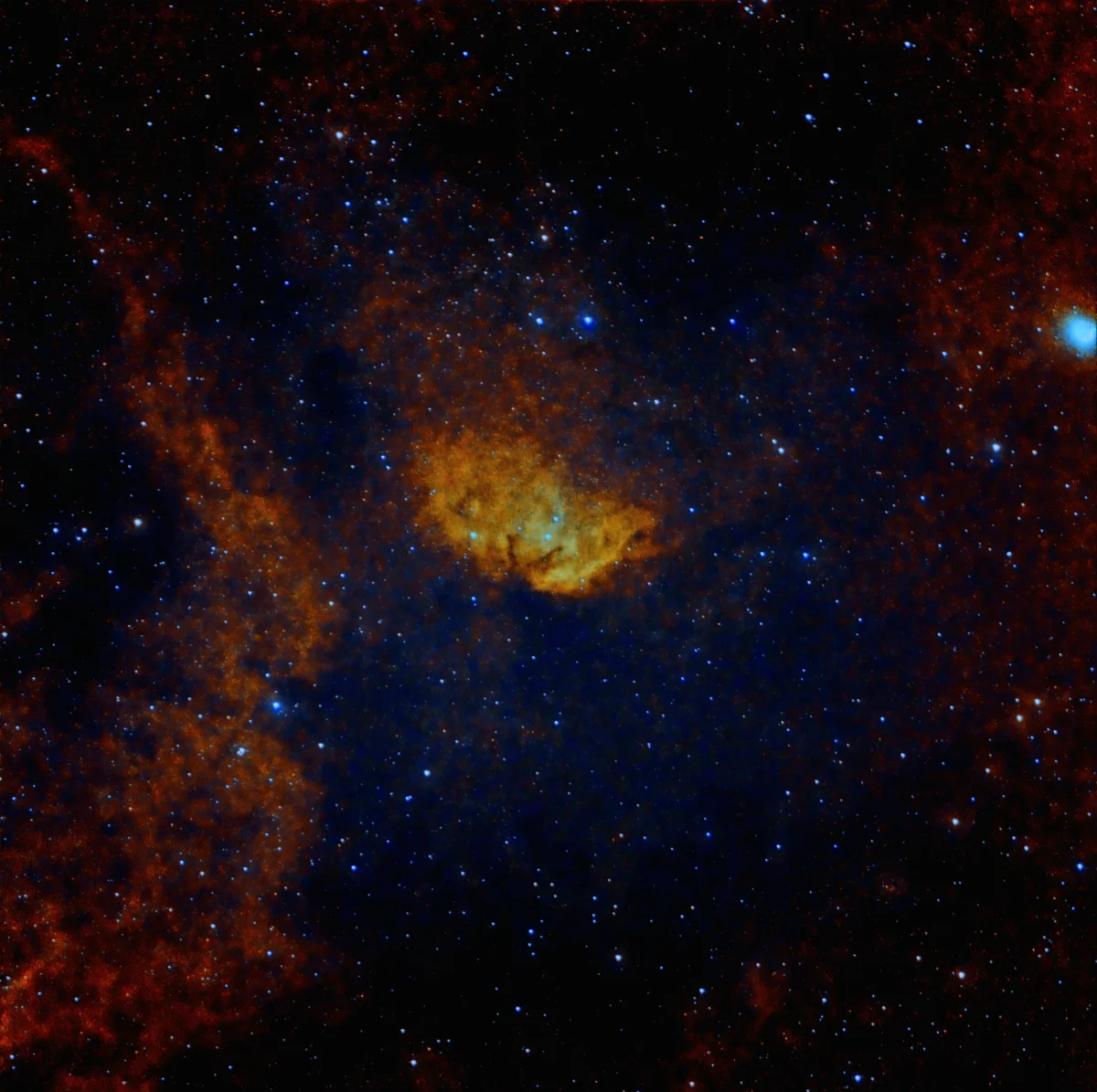 Tulip nebula