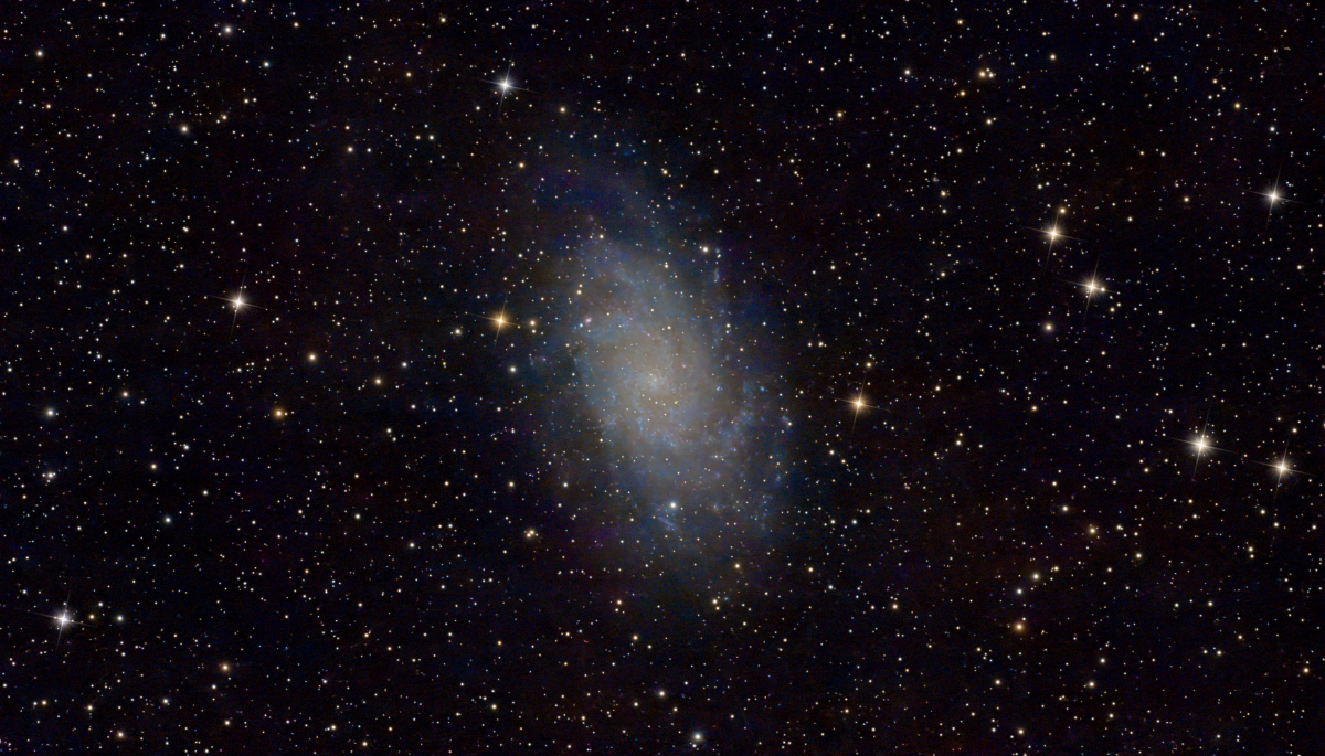 M33
