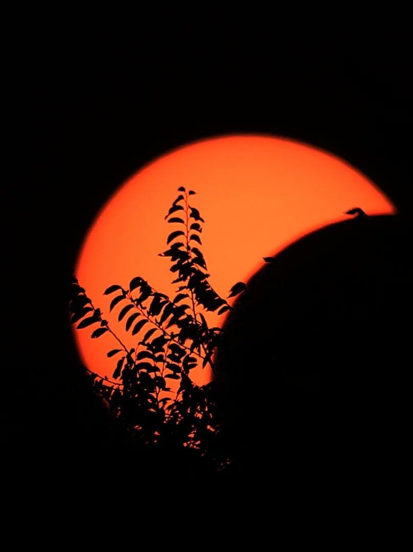 Sonnenfinsternis