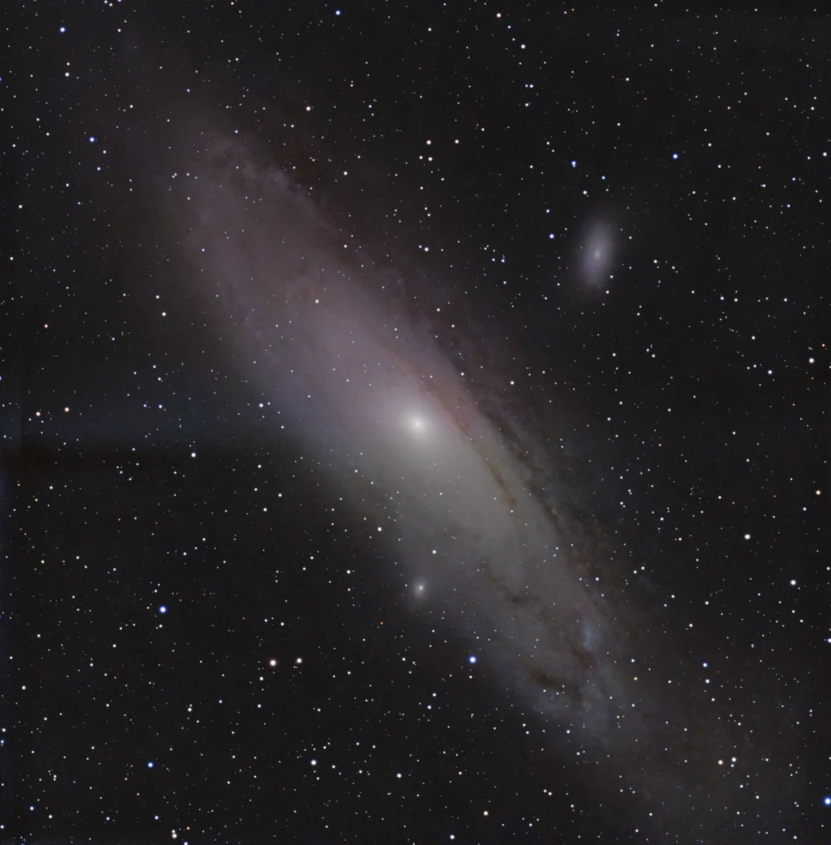 M31