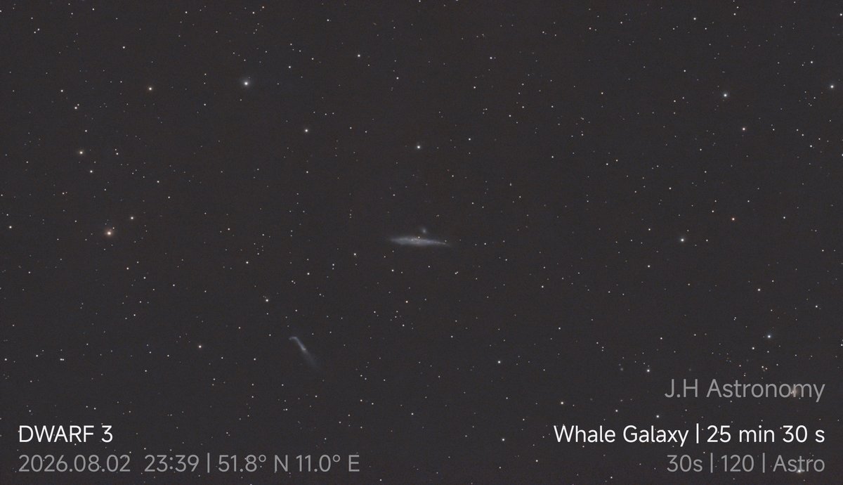 Whale Galaxy