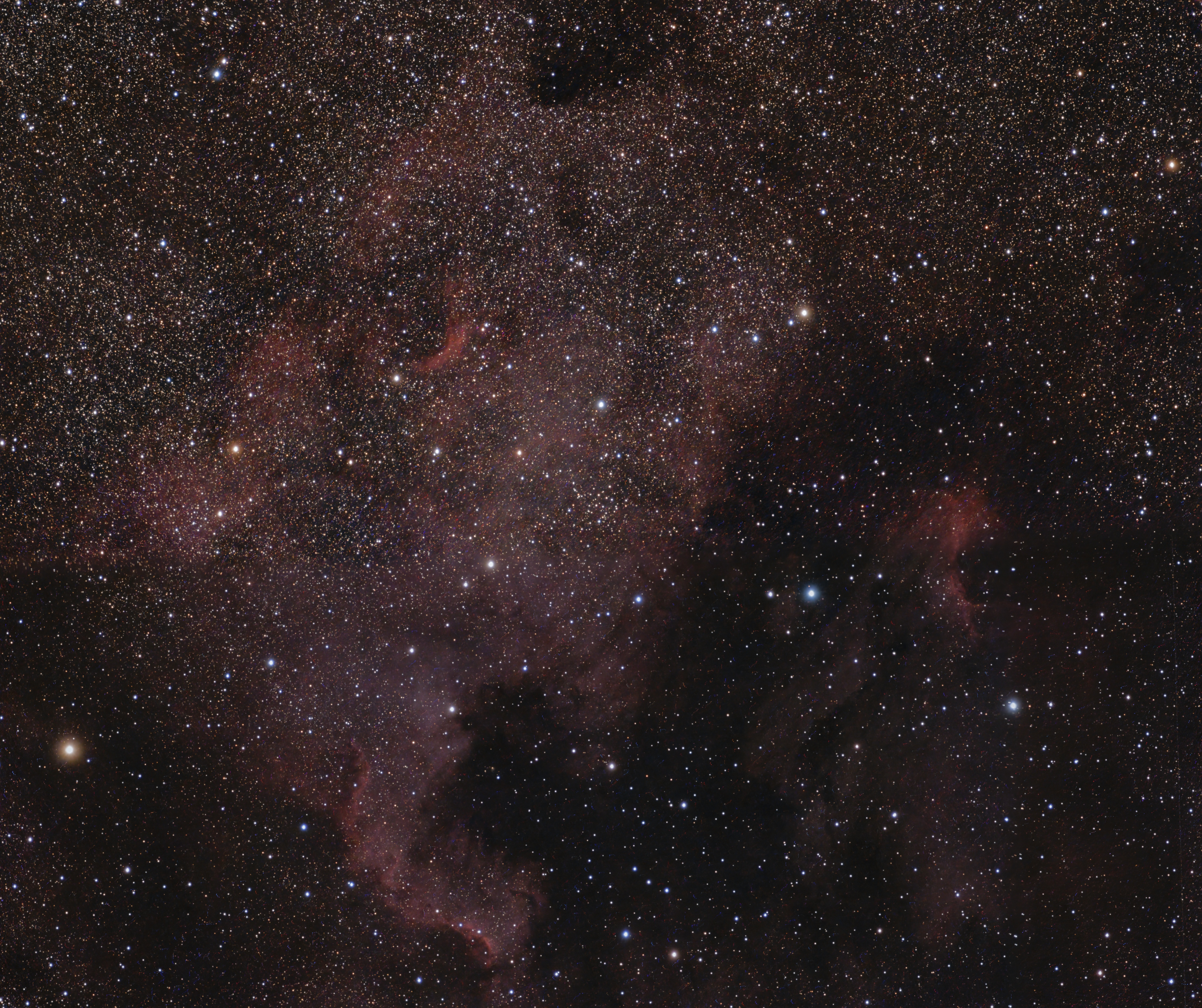 NGC7000 - mosaïque