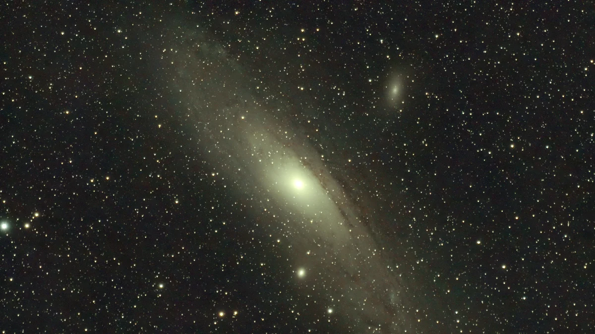 M31
