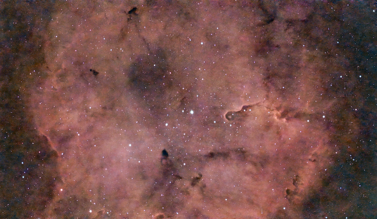 Elephant's Trunk Nebula