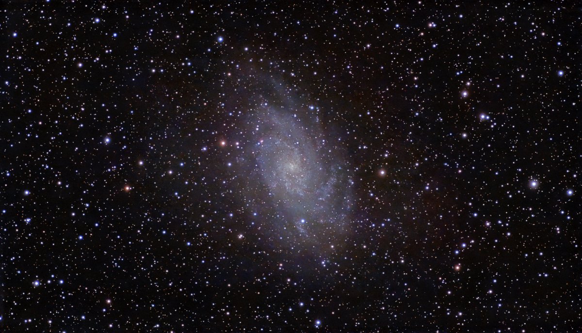 M33