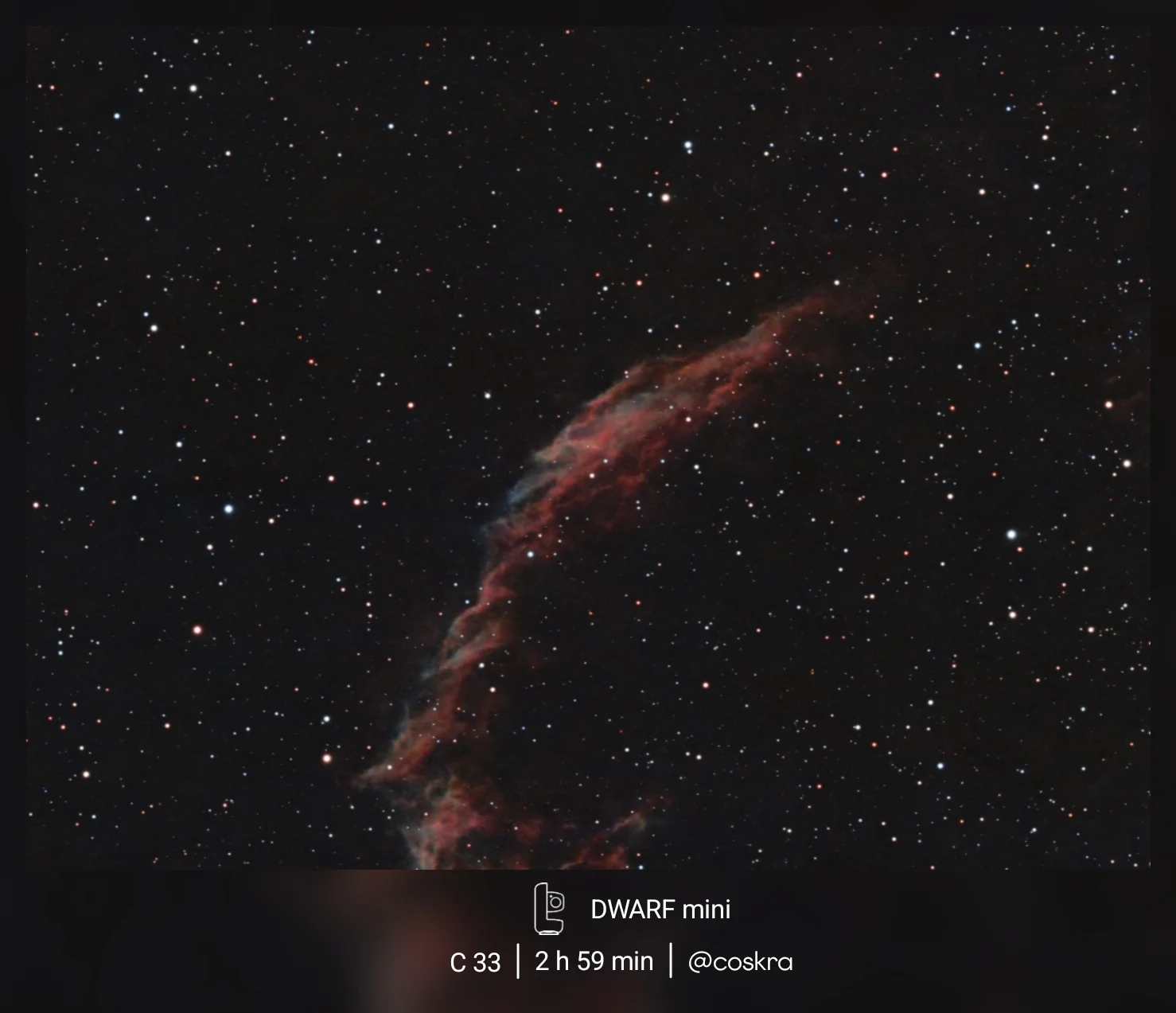 C 33