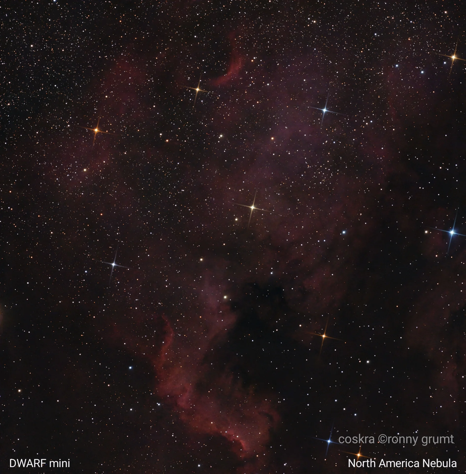 North America Nebula