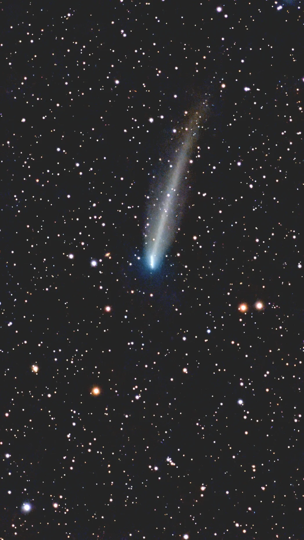 220p mcnaught
