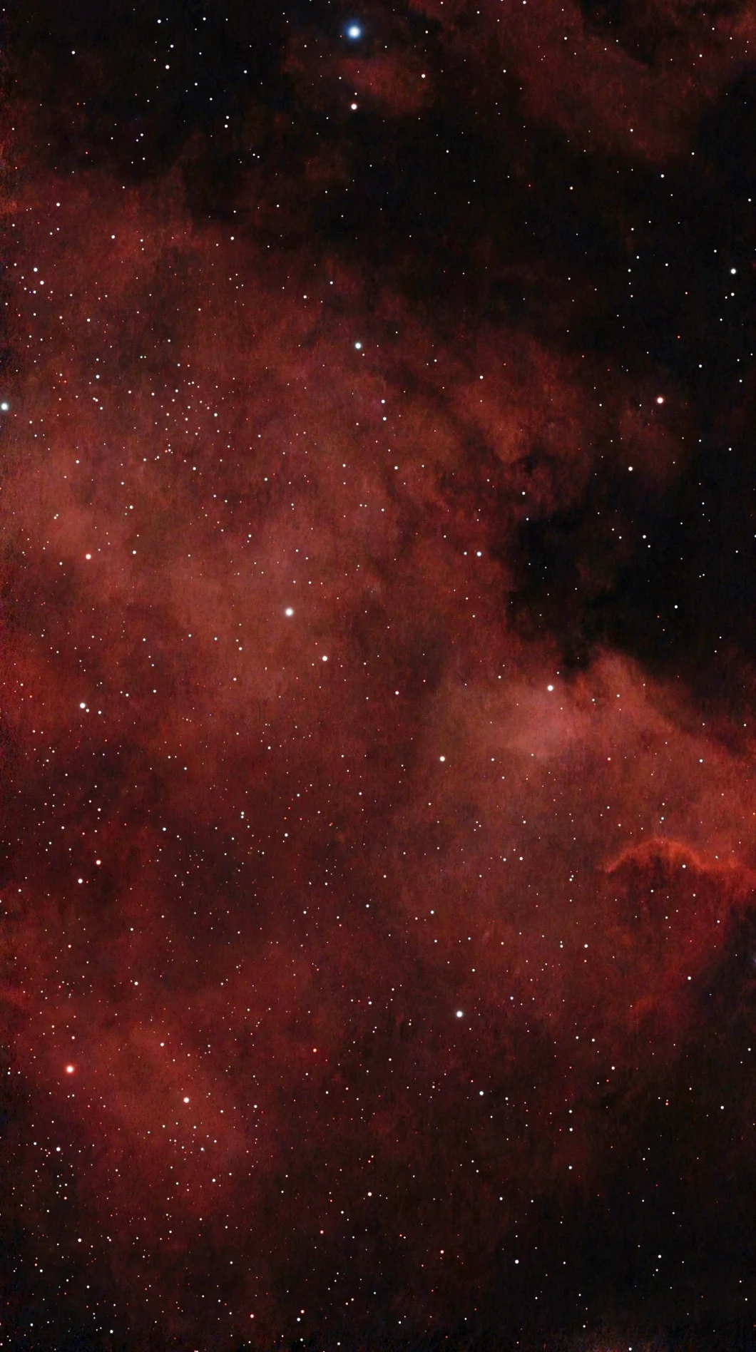 North American Nebula (C20)