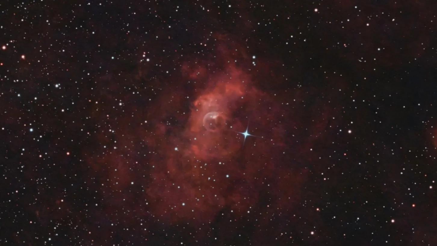 C11