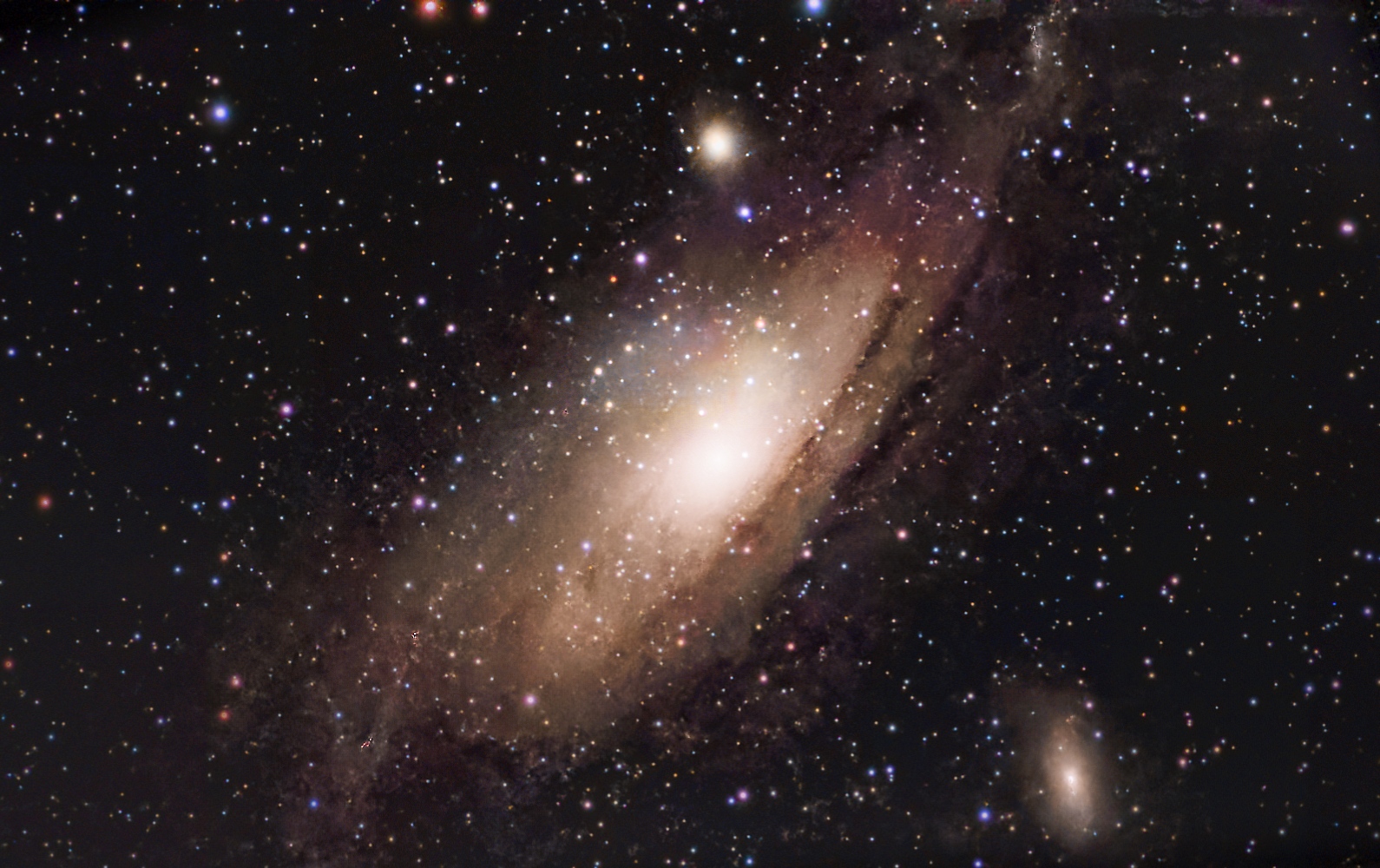 M31