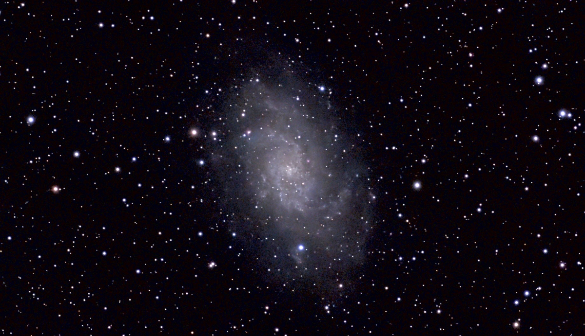 M33