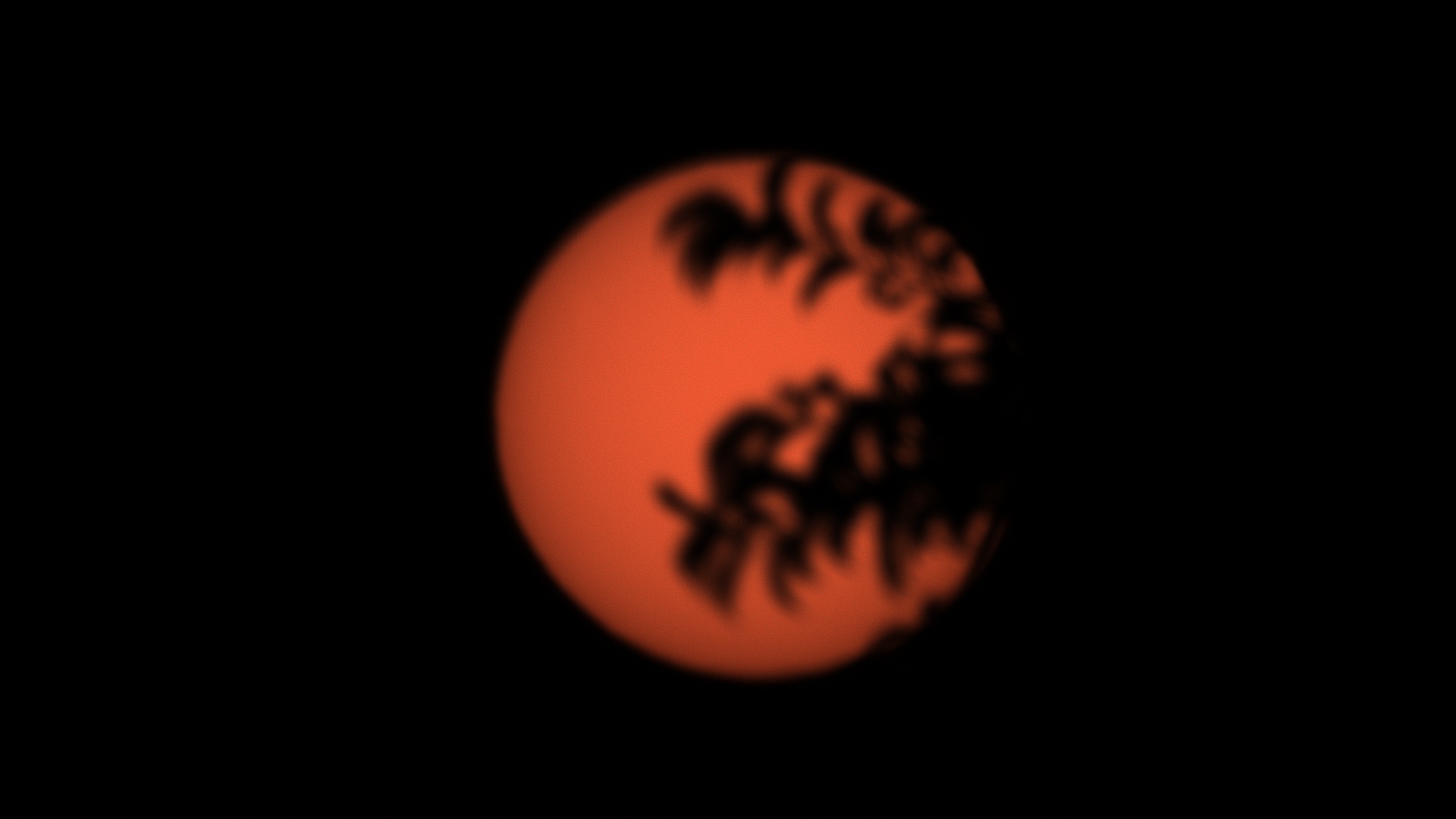 Sun covered by tree