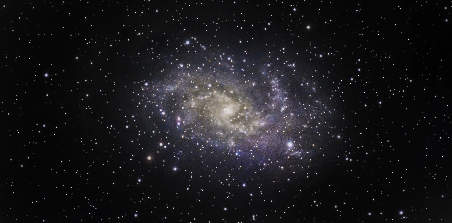 M33