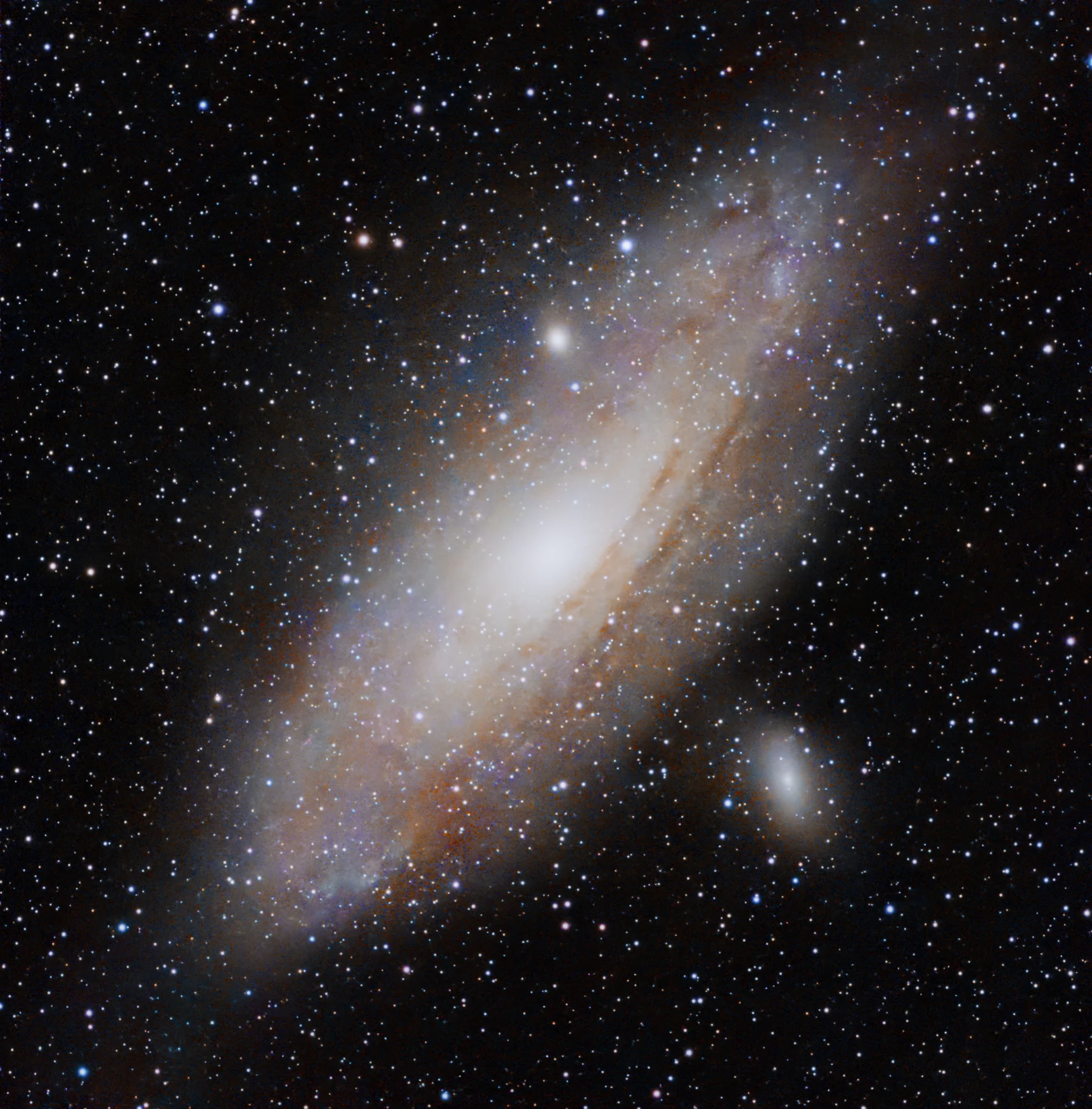 M31