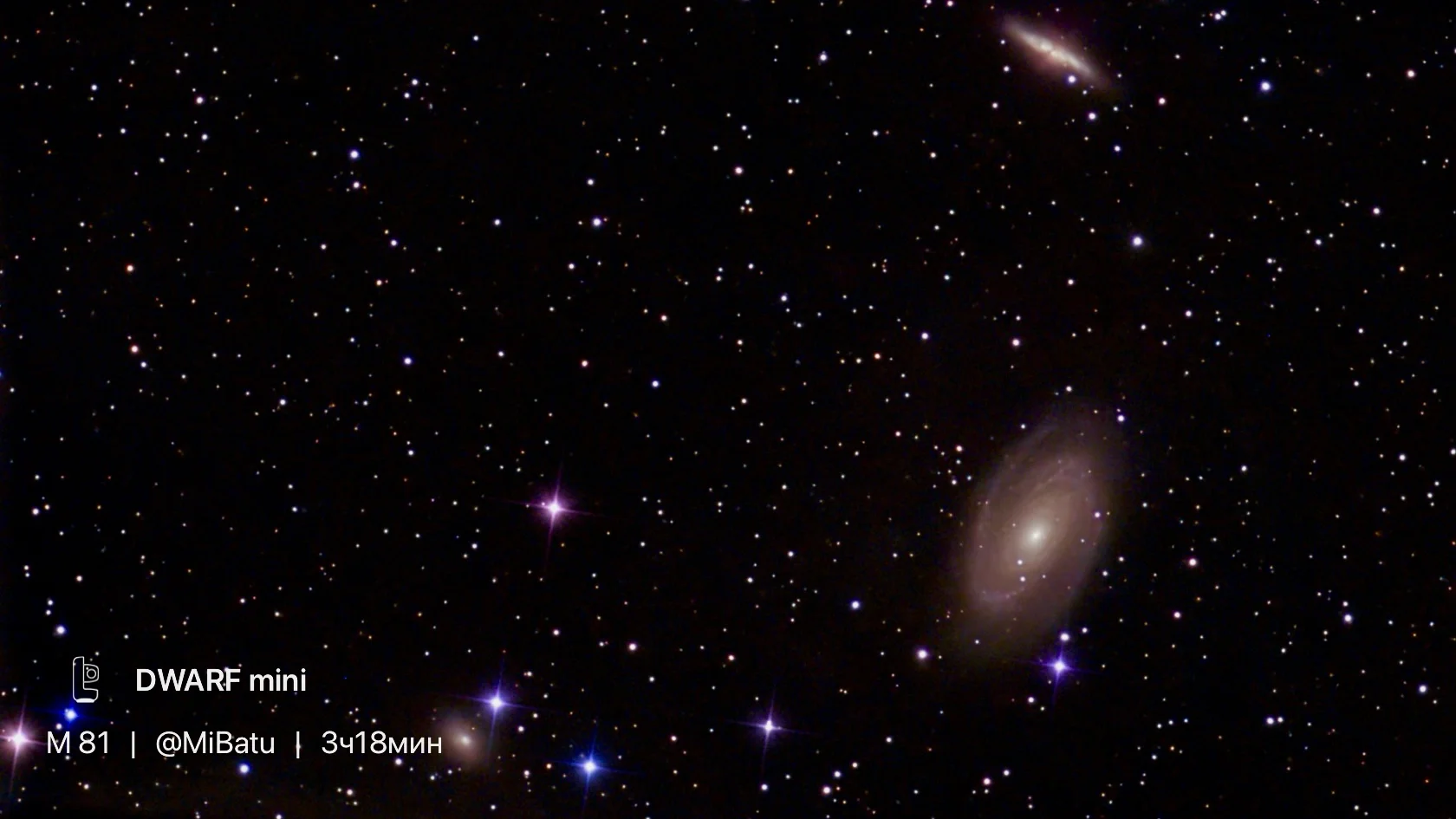 M81