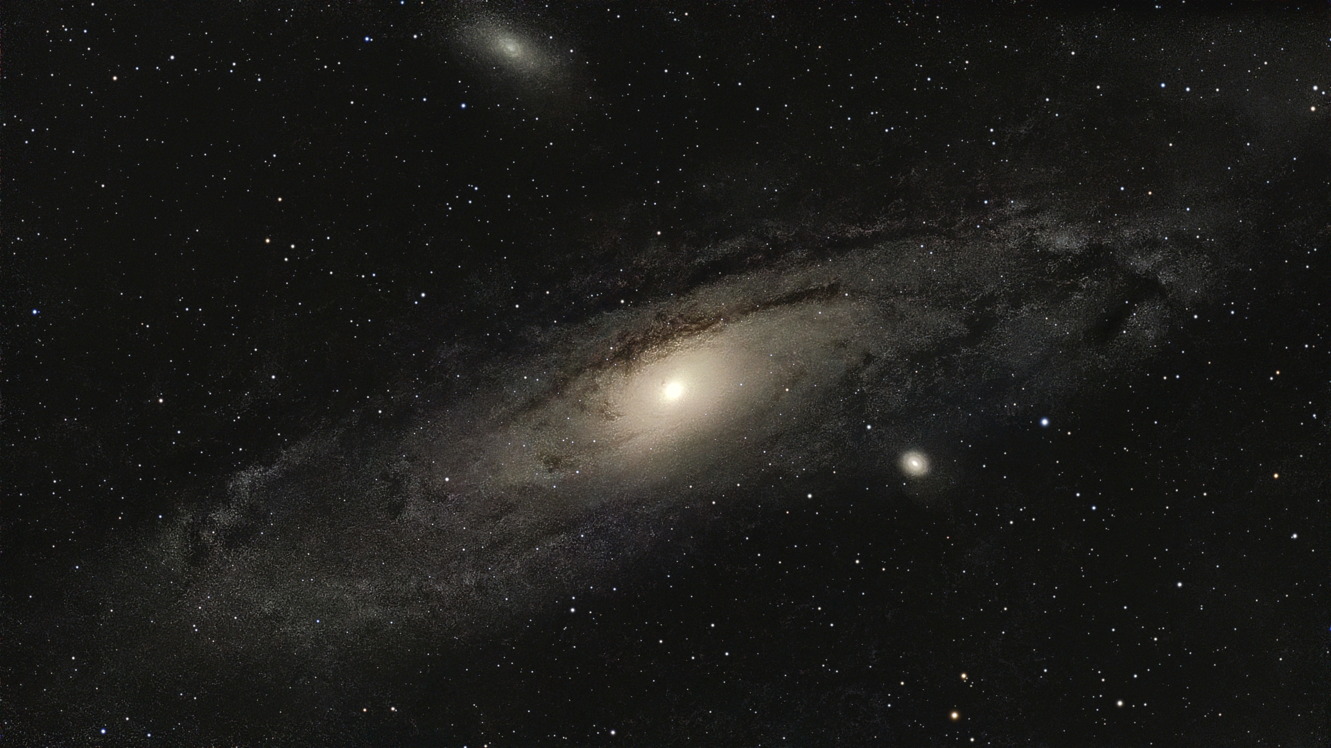 M31