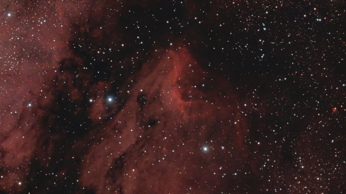 Pelican Nebula