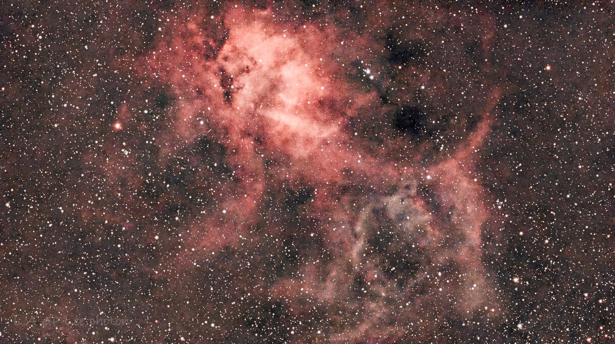 The lion nebula