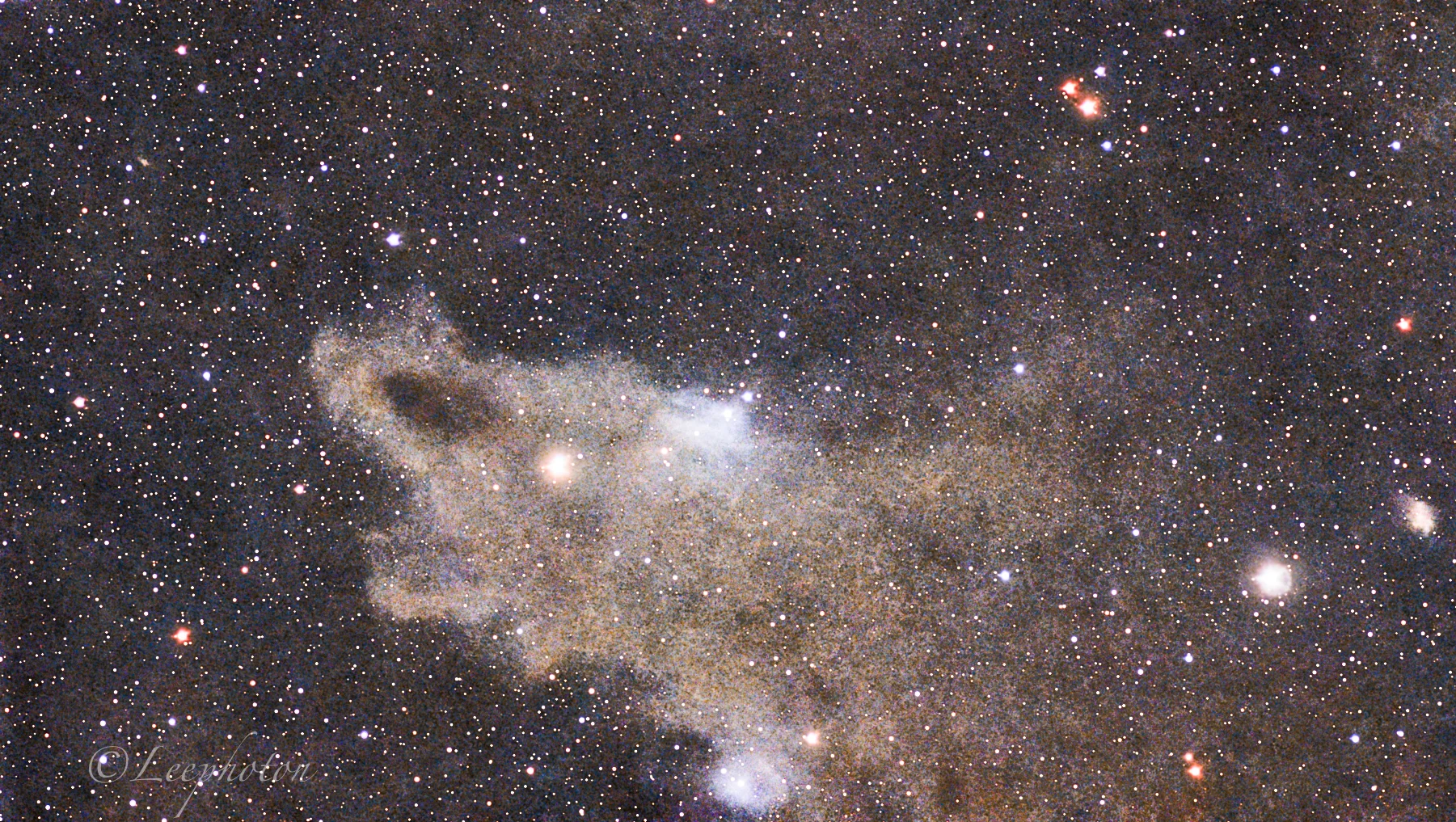 The dark shark nebula