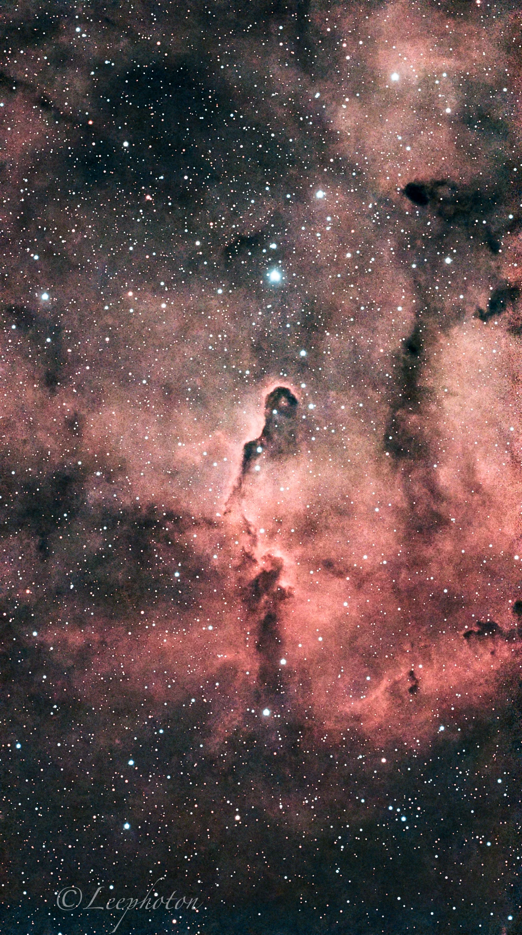 Elephant trunk nebula