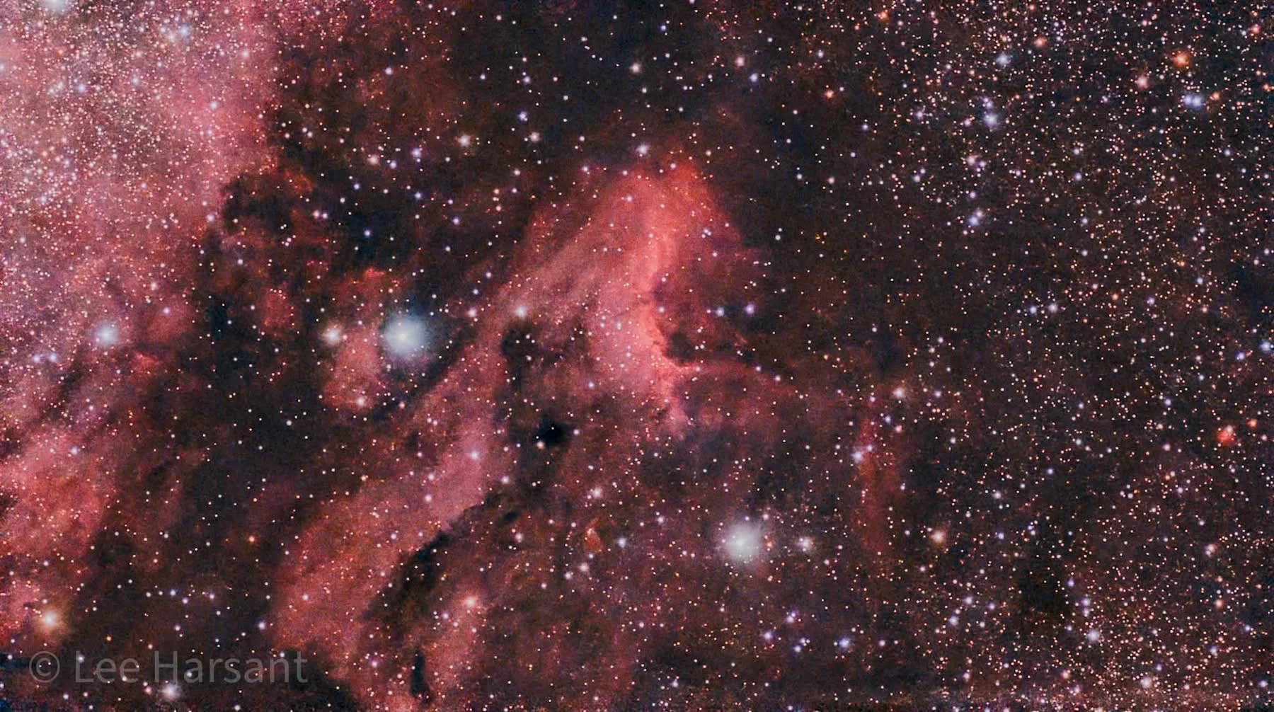 Pelican nebula