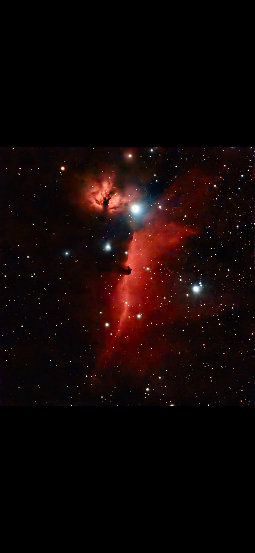 Horsehead and Flame nebula
