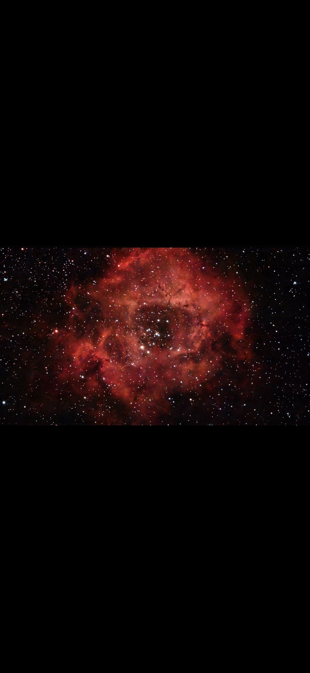 Rosette Nebula