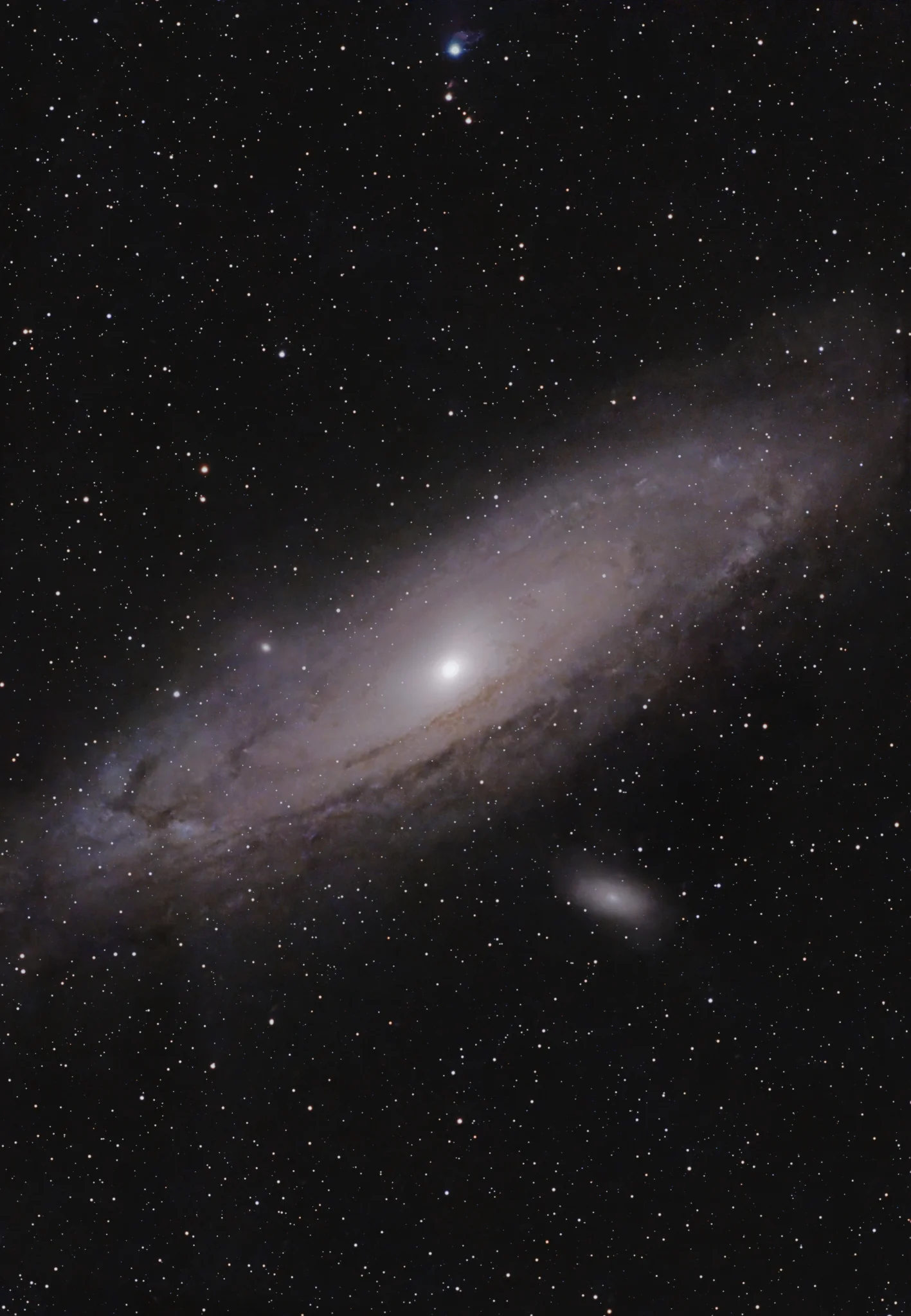 M31