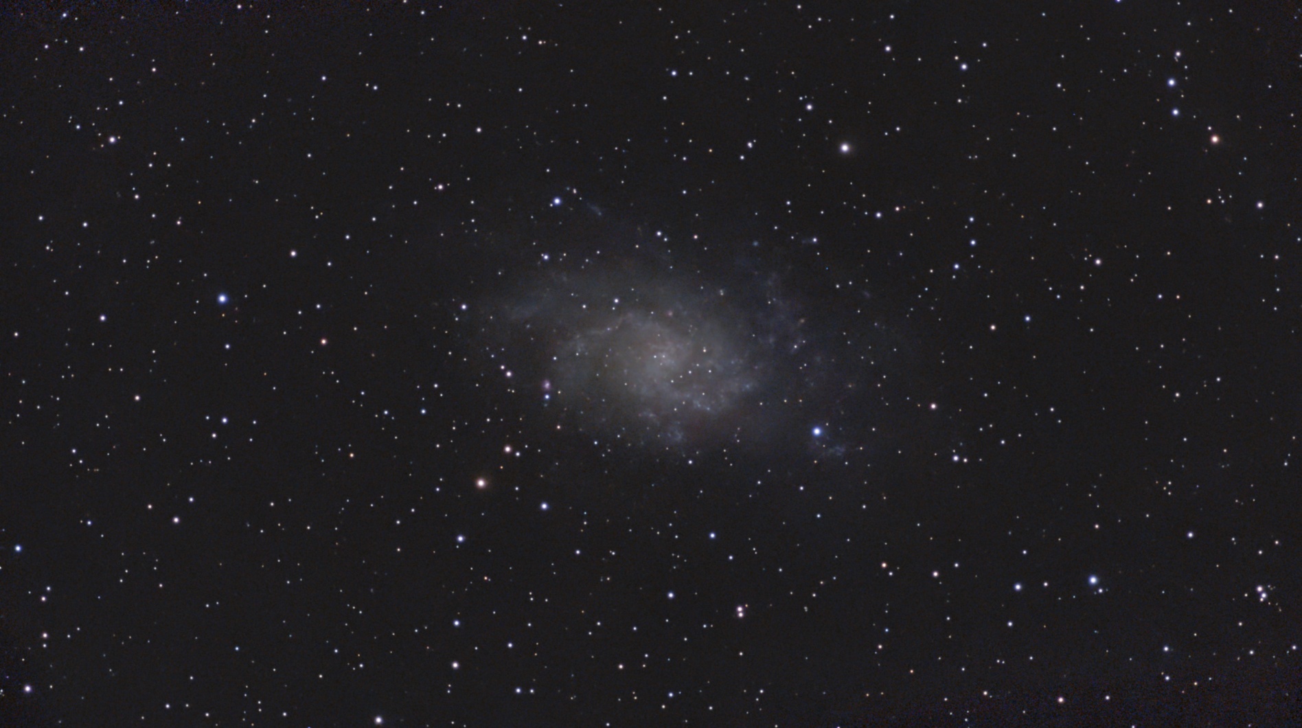 M33