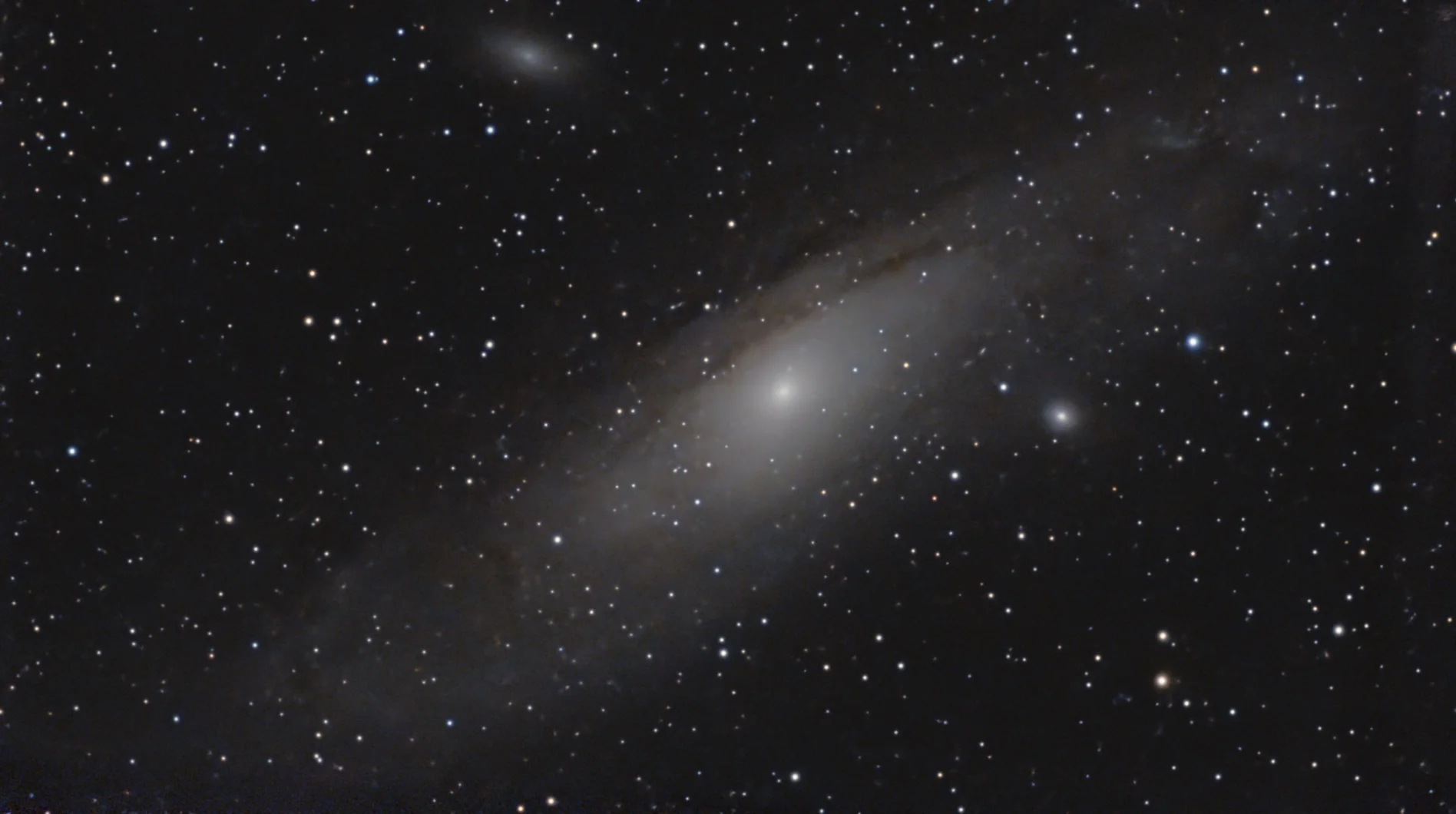 M31