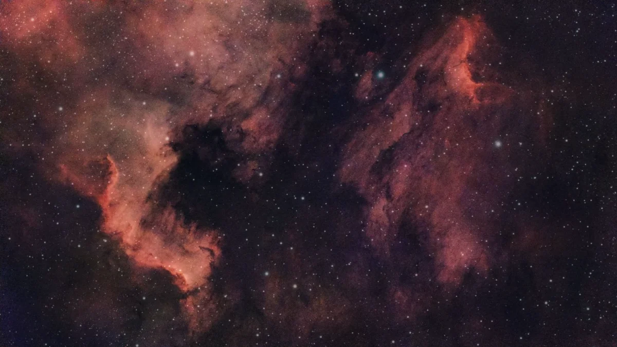 Pelican Nebula