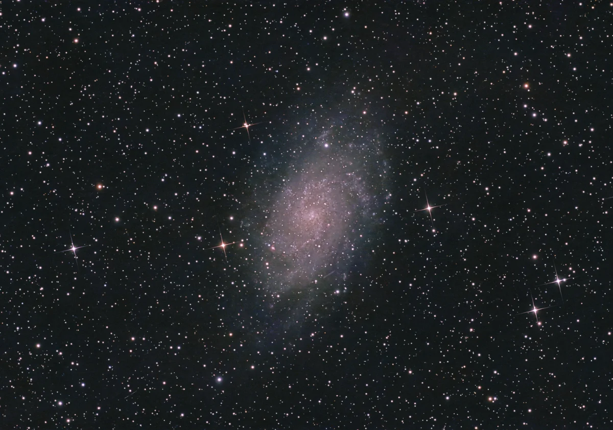 M33