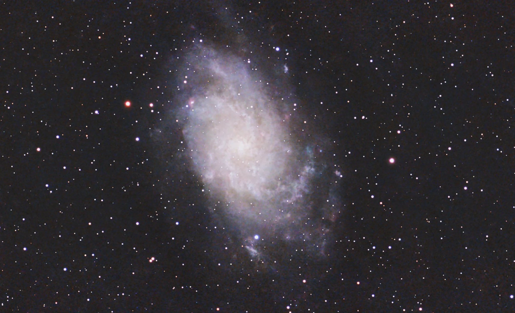M33