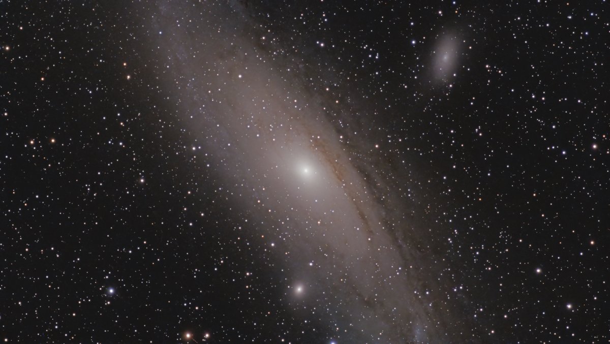 M31
