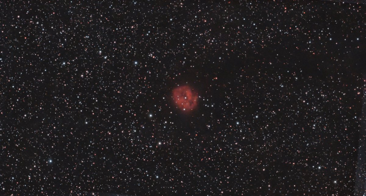 IC5146