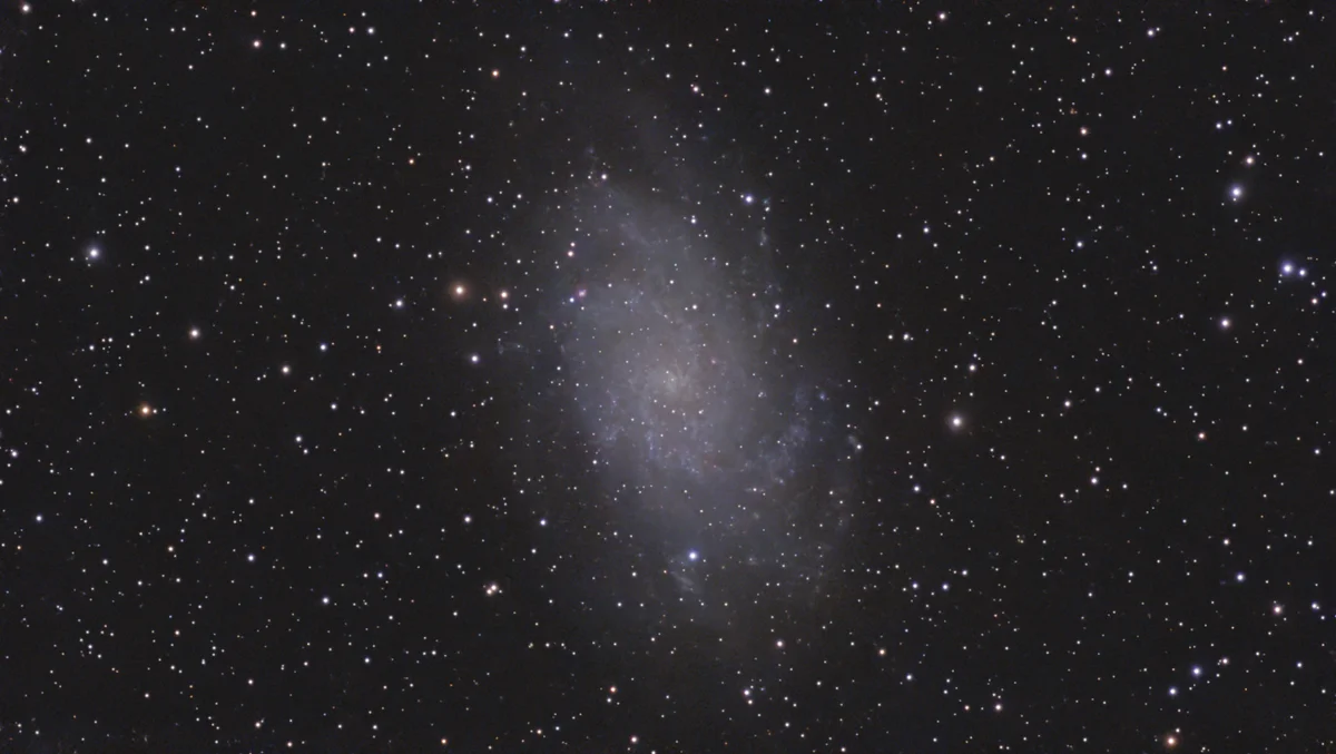 M33
