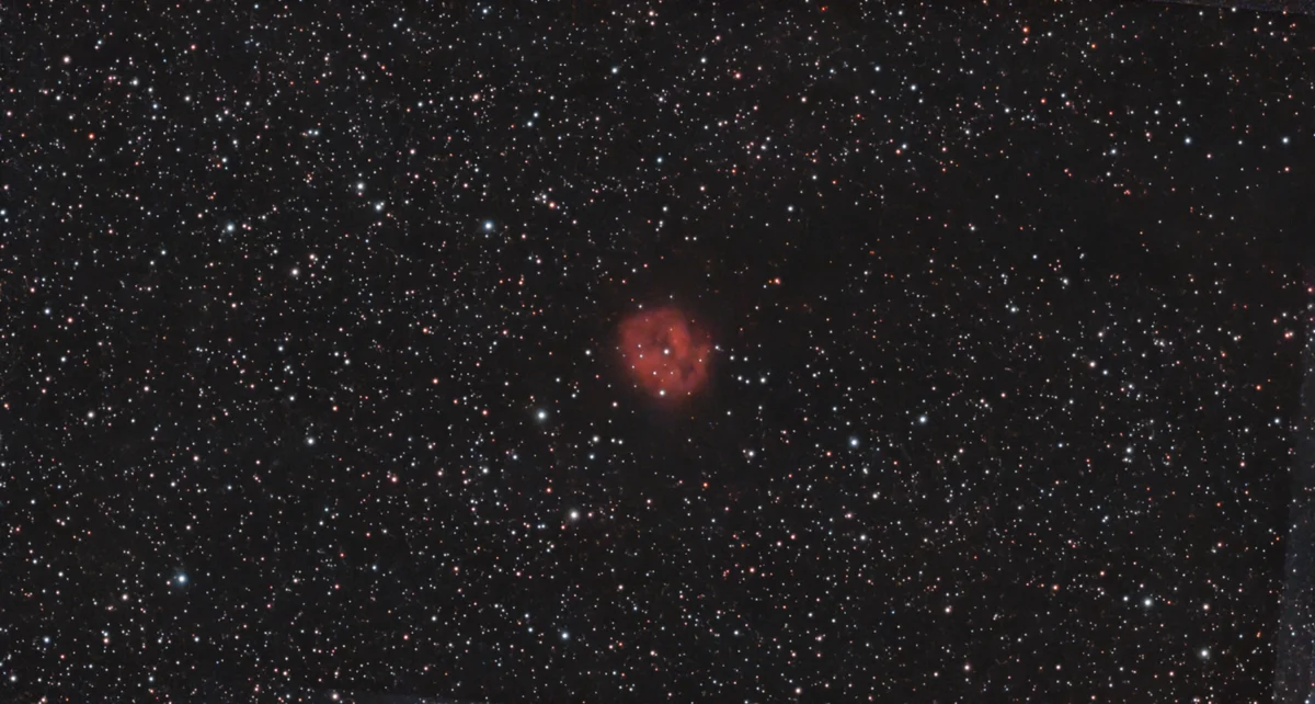 C19