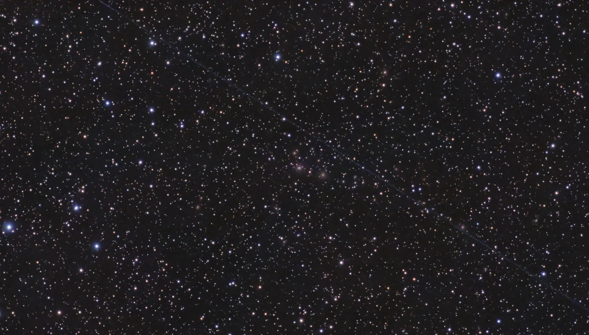 C24
