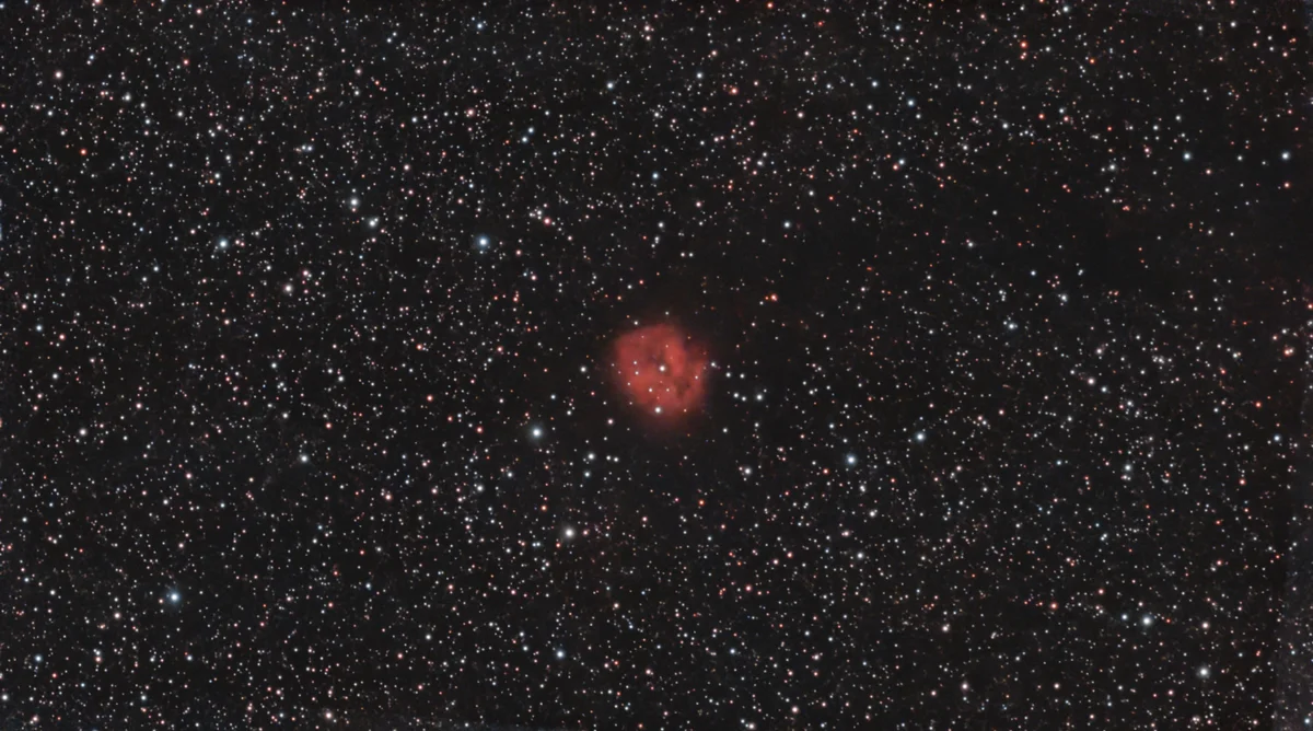 C19