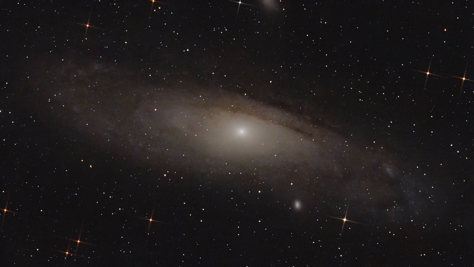 M31