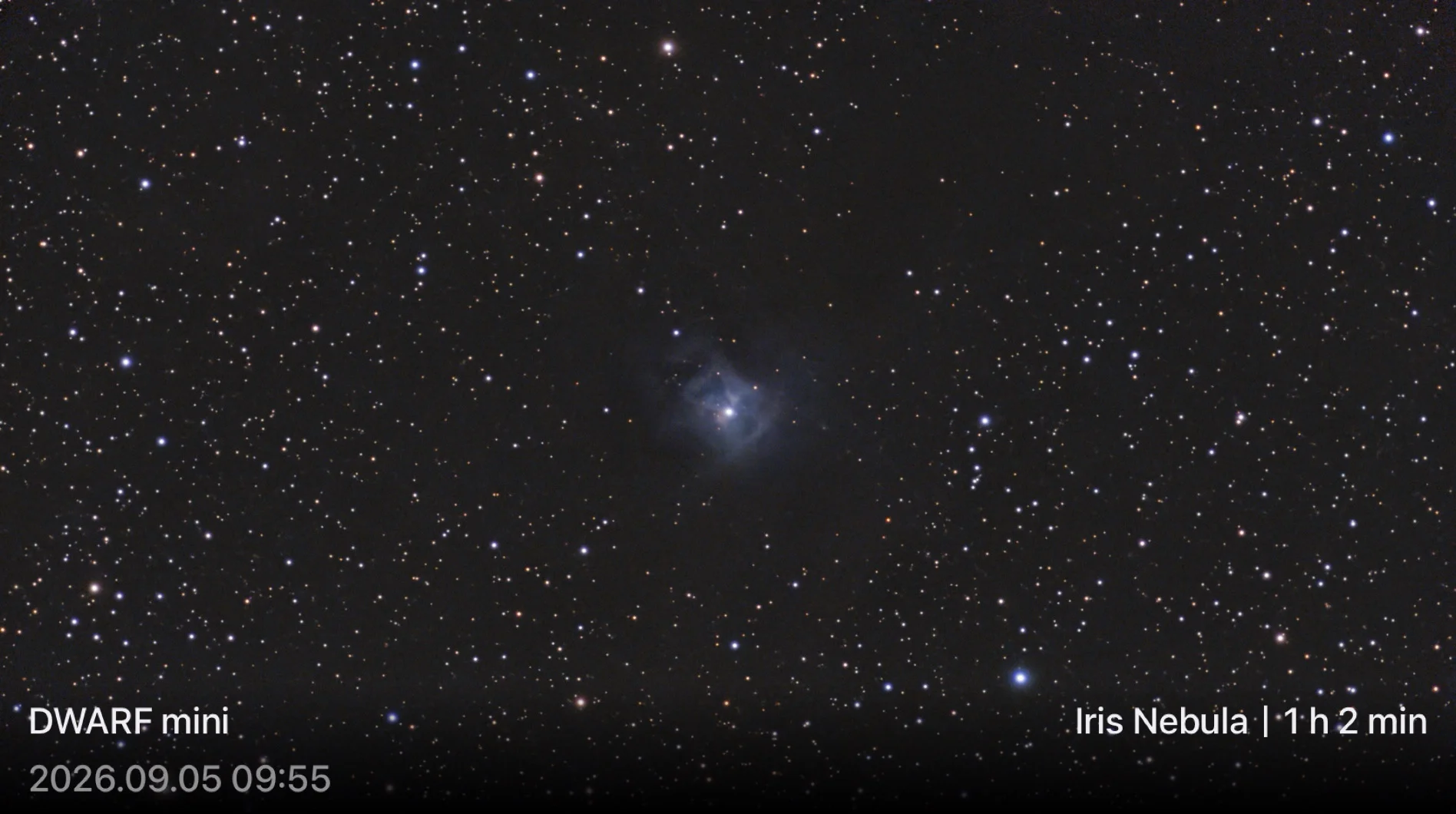 Iris nebula
