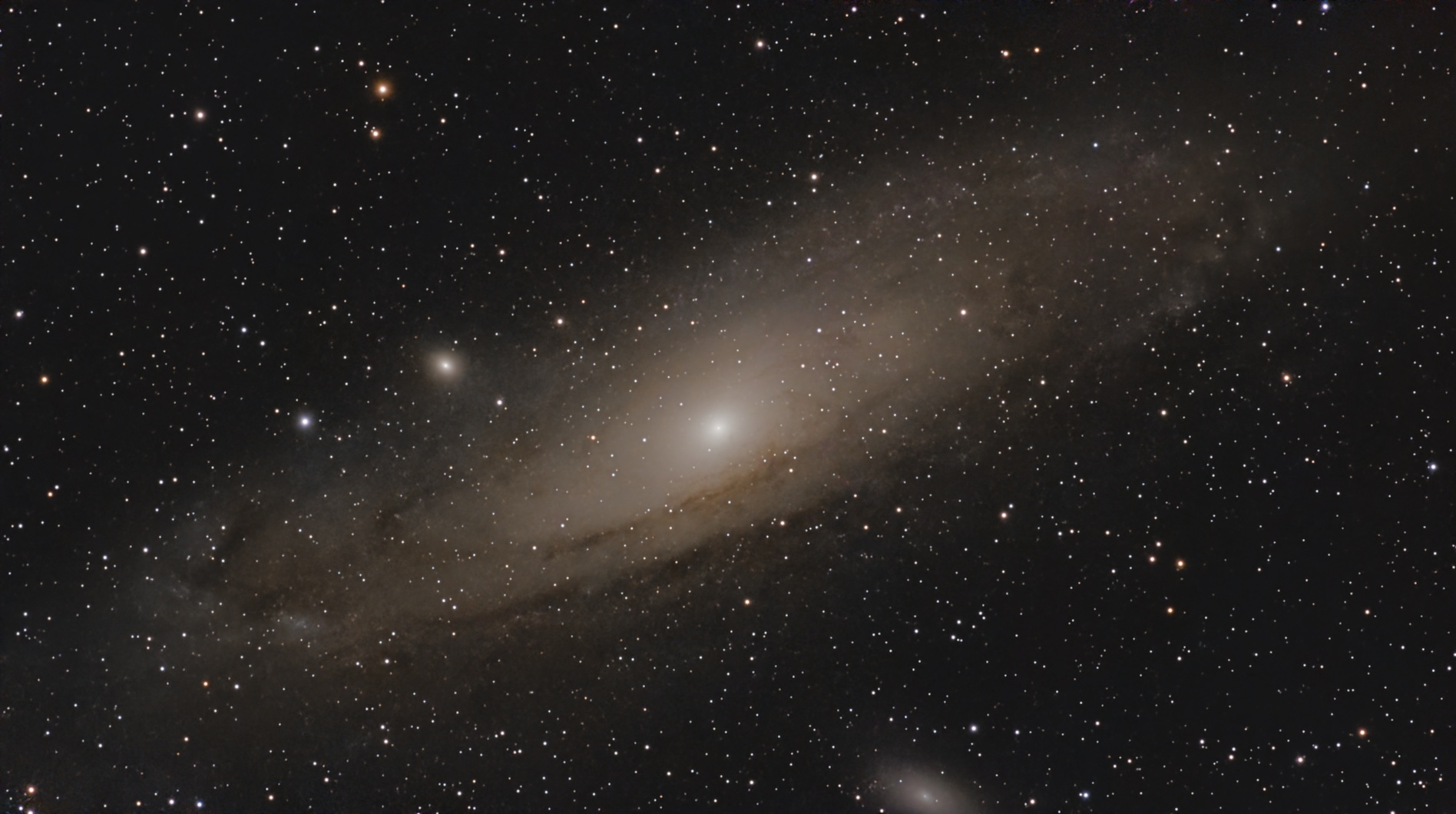 M31