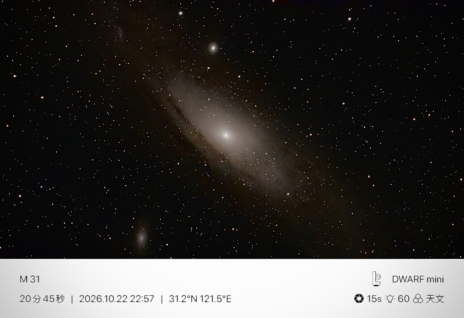 M31