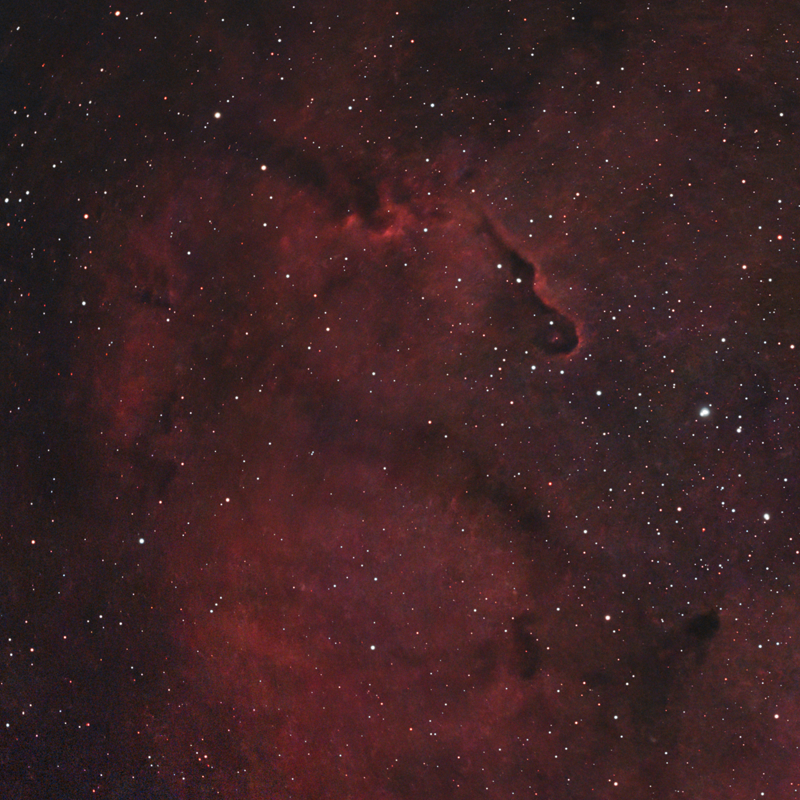 IC 1396 Elephant's Trunk Nebula Region in Cepheus