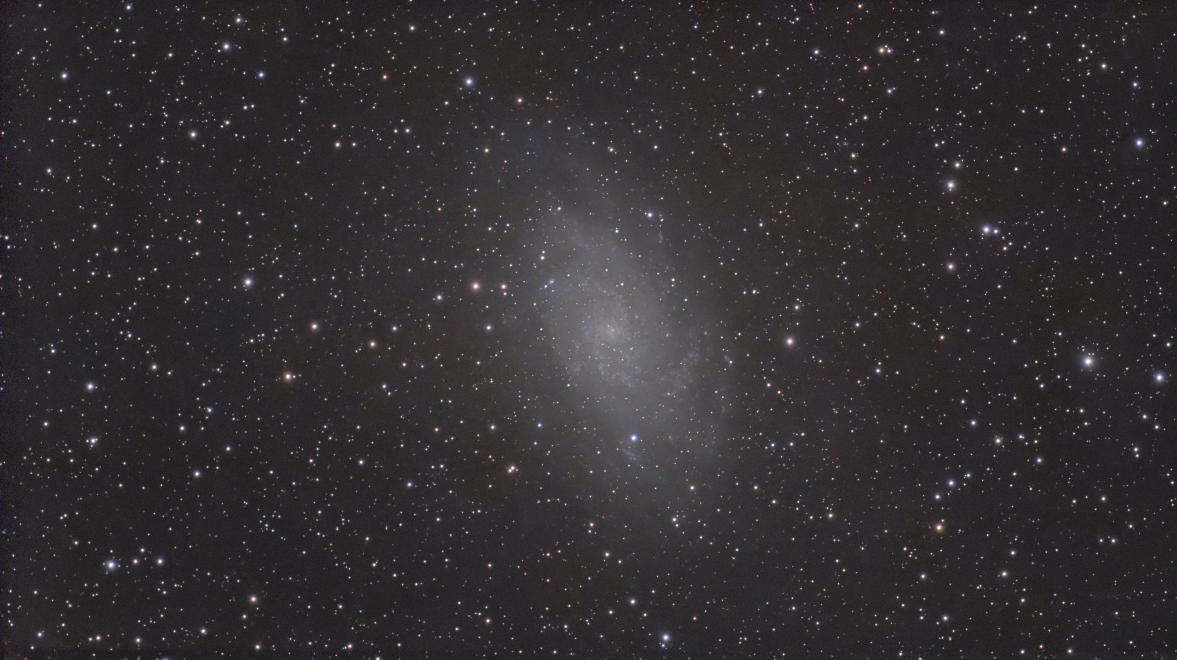 M31 and M33