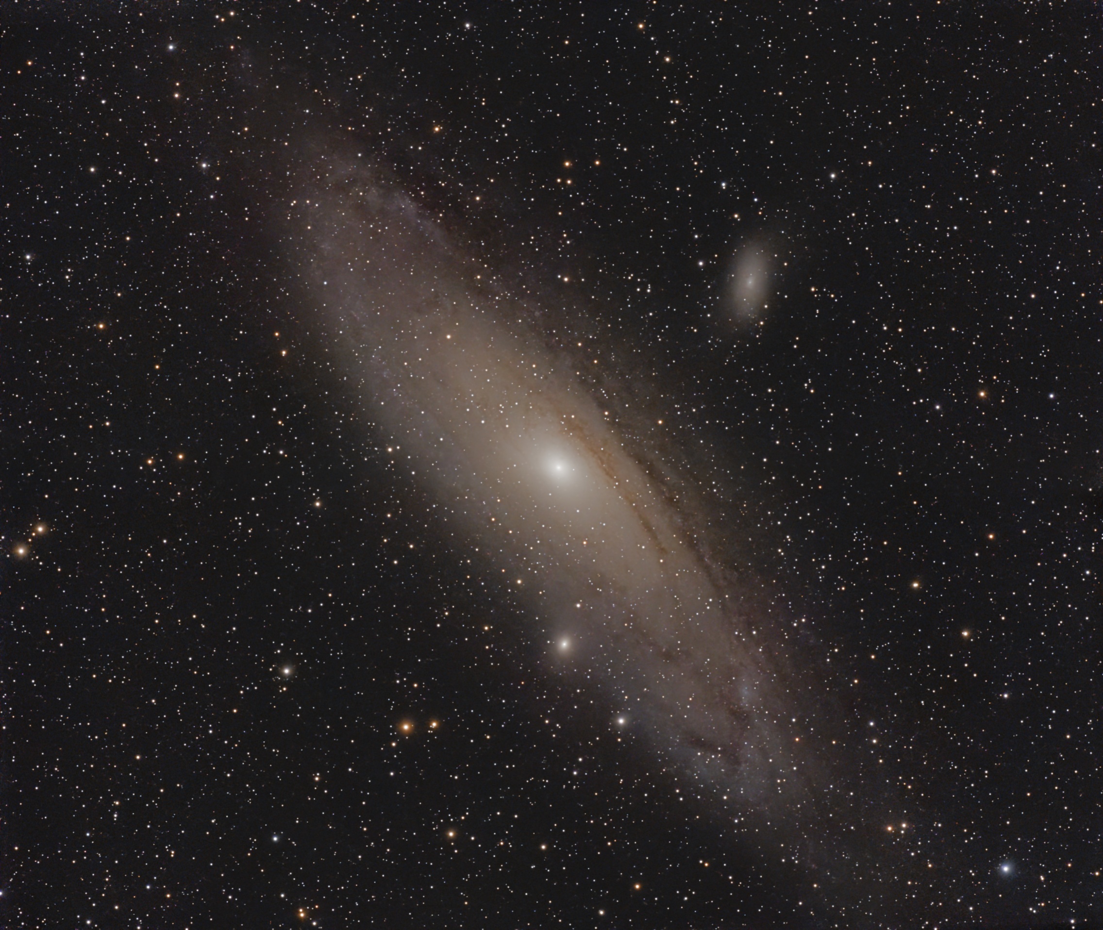 M31