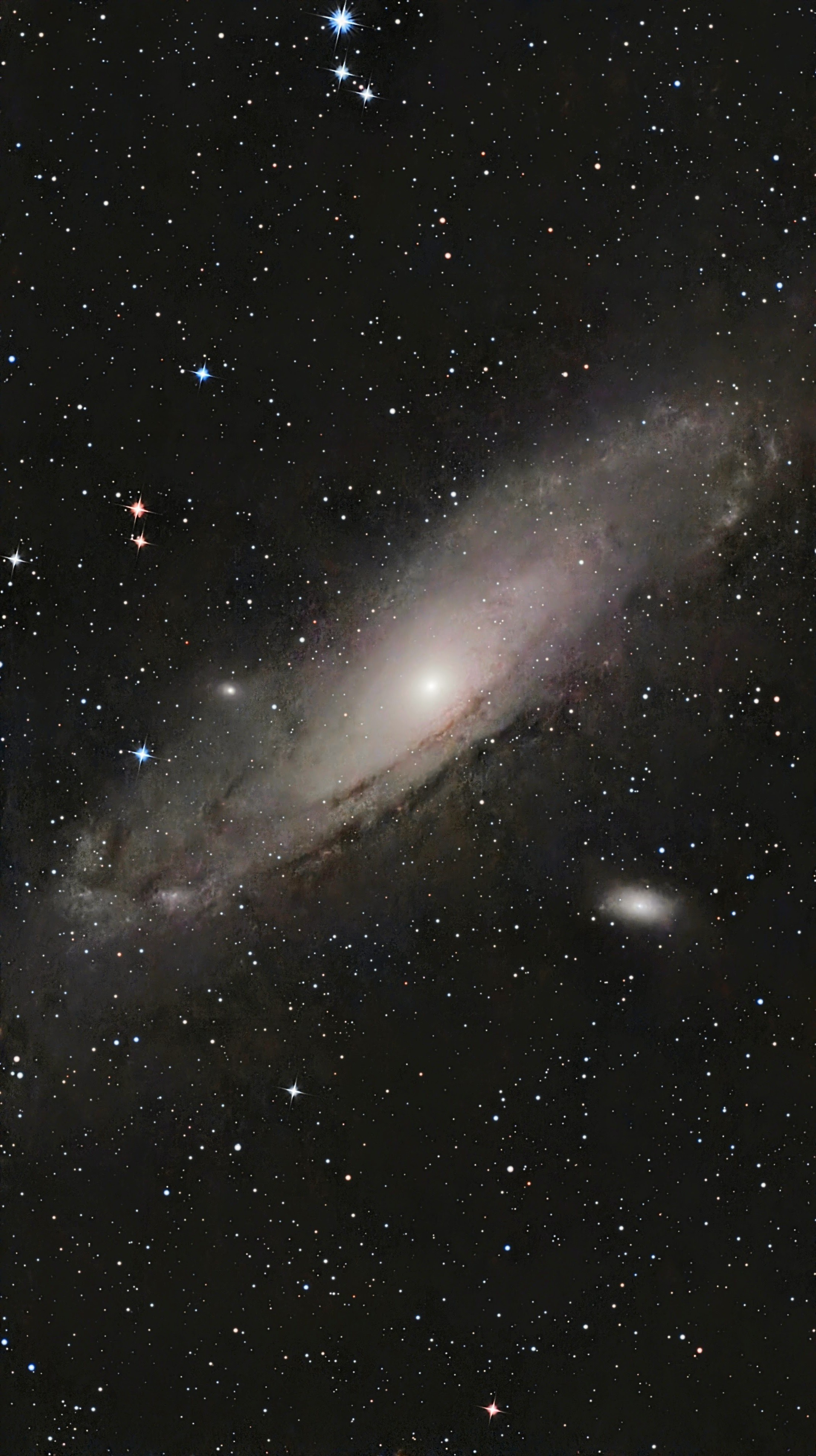 M31